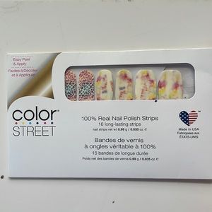 Color Street retired Pigment of Your Imagination